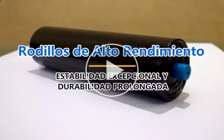 Rodillos de Alto Rendimiento Zoomry - Estabilidad Excepcional y Durabilidad Prolongada.webp